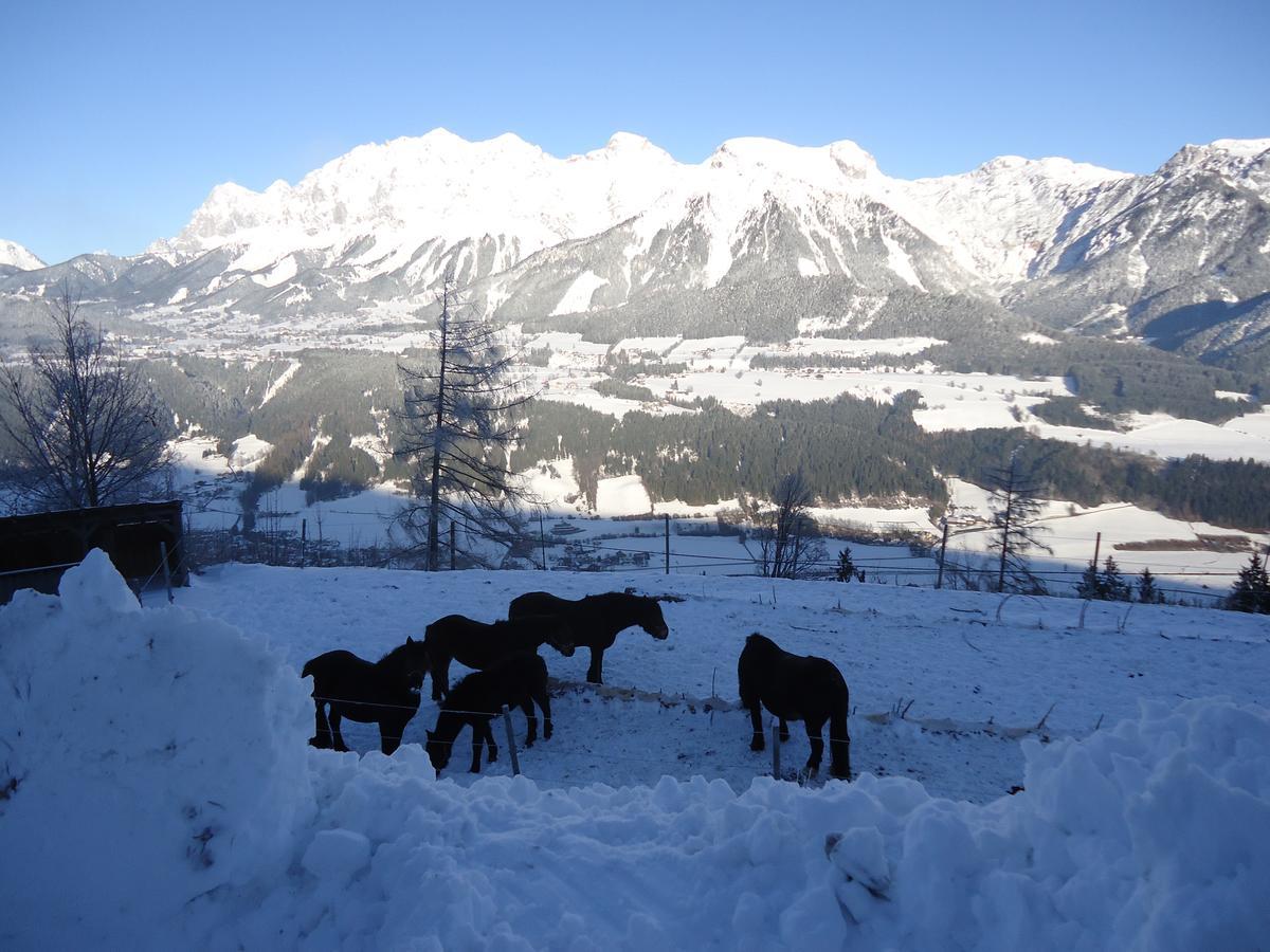 Asingerhof Hotel Schladming Bagian luar foto