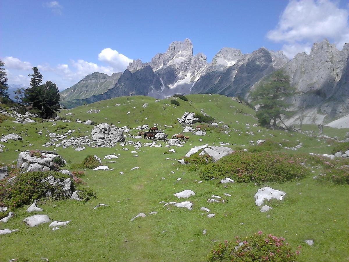 Asingerhof Hotel Schladming Bagian luar foto